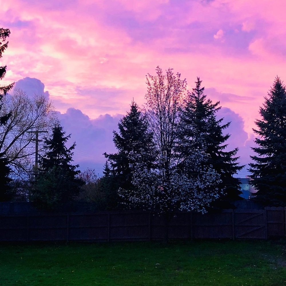 Meet your Posher, Jacklyn